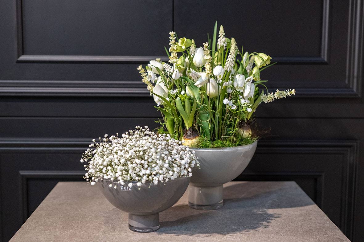 Bowl Andreas taupe 2.0